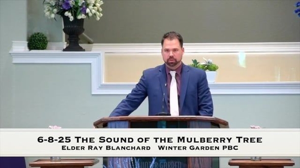 6-8-25 The Sound of the Mulberry Tree