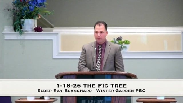 1-18-26 The Fig Tree